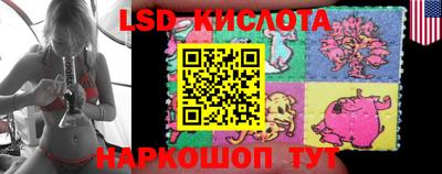 стаф Тверь
