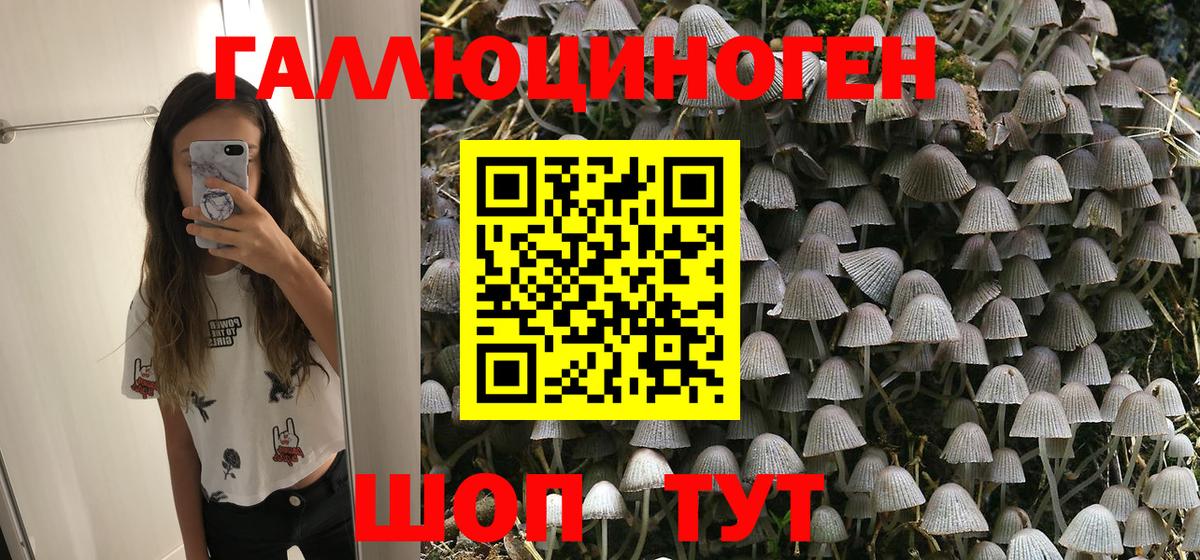 Псилоцибиновые грибы GOLDEN TEACHER Набережные Челны