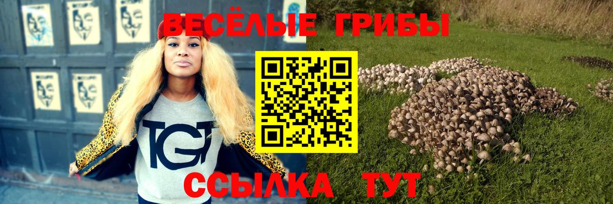 Псилоцибиновые грибы GOLDEN TEACHER  Вход с VPN  цены наркотик  Набережные Челны 